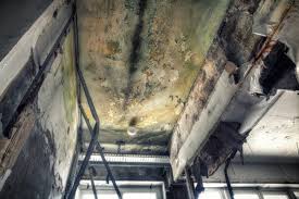 Mold Odor Removal Services in Johnston, IA